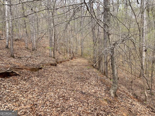 0 Green Oak Cir, Home with 0 bedrooms, 0 bathrooms and null parking in Thomaston GA | Image 24