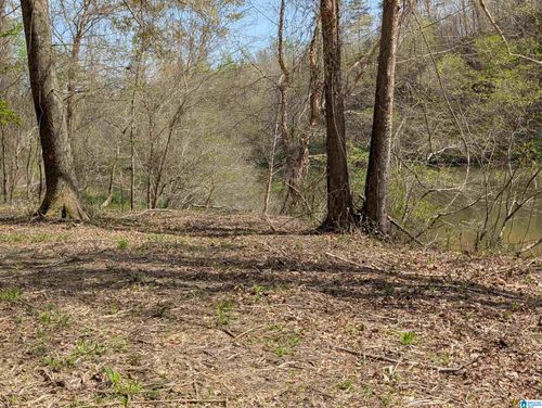 3-Lot 3 River Crest Drive, Cordova, AL, 35550 | Card Image