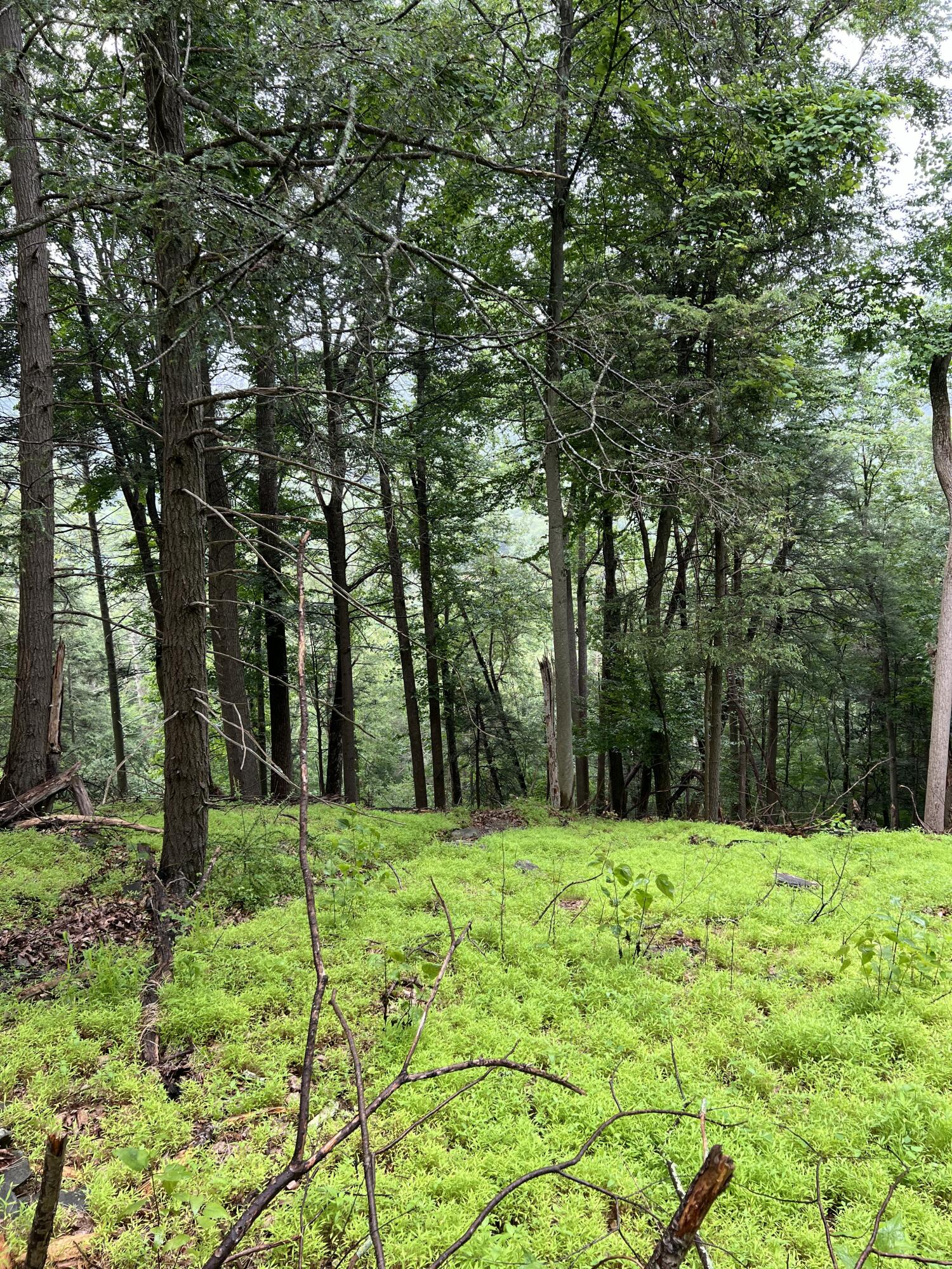 Land in East Stroudsburg