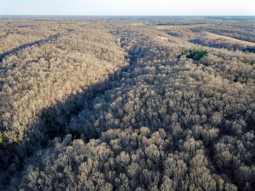 2552 State Highway V, Stella, MO, 64867 | Card Image