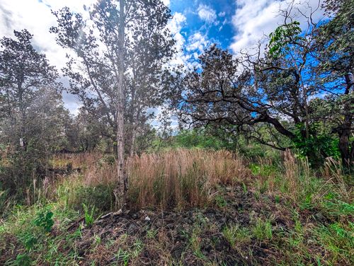 92-1524 Coral Pkwy, OCEAN VIEW, HI, 96737 | Card Image