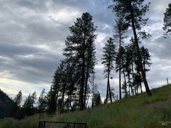 624 Clearcreek Rd, House other with 4 bedrooms, 2 bathrooms and null parking in Kooskia ID | Image 36