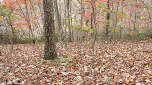 Lot 349 Drew Ct, Smithville, TN, 37166 | Card Image
