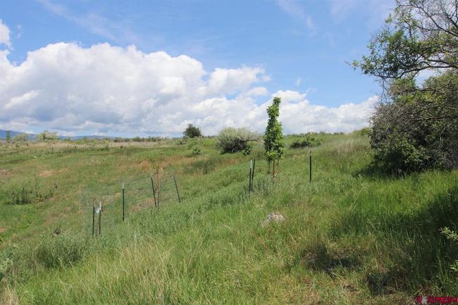 14433 2600 Rd, Home with 0 bedrooms, 0 bathrooms and null parking in Cedaredge CO | Image 38