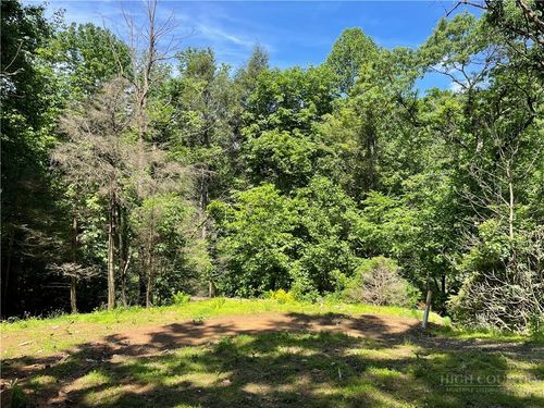 156 Dragon Fly Ln, Boone, NC, 28607-8057 | Card Image