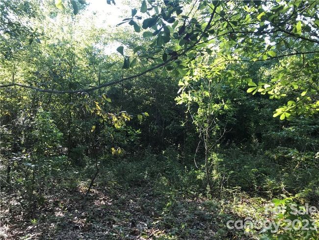 1750 Highway 1 N, Home with 0 bedrooms, 0 bathrooms and null parking in Cassatt SC | Image 6