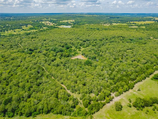 Many trails with 4 other ponds...exciting 4-wheeling and equestrian trail riding | Image 37