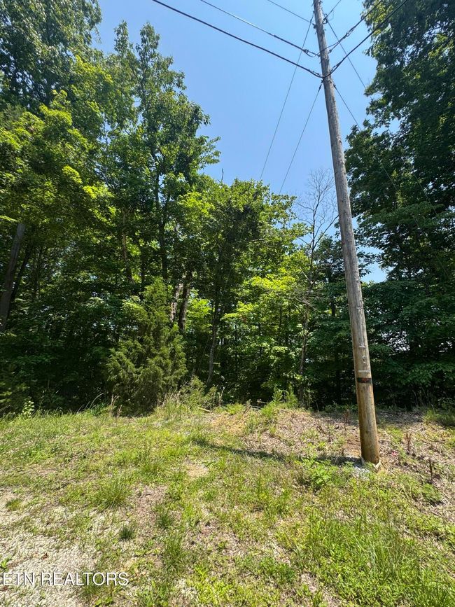 44 Ridgeland Dr, Home with 0 bedrooms, 0 bathrooms and null parking in Sharps Chapel TN | Image 8