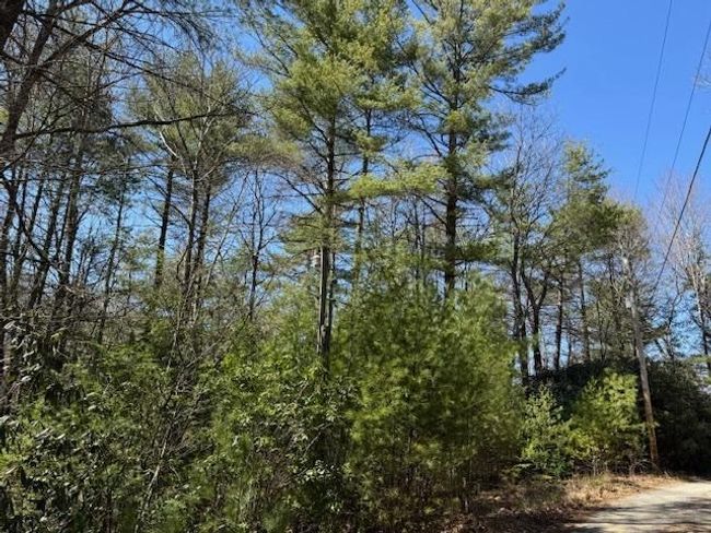0 Buck Hollow Trl, Home with 0 bedrooms, 0 bathrooms and null parking in Sugar Grove VA | Image 9