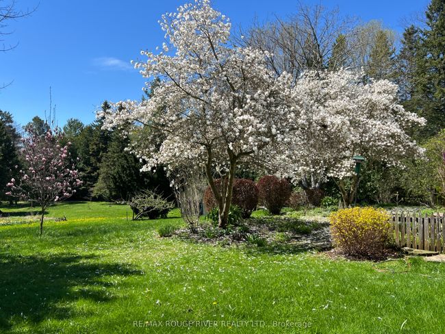 412 Barnum House Rd, House other with 2 bedrooms, 2 bathrooms and 6 parking in Grafton ON | Image 46