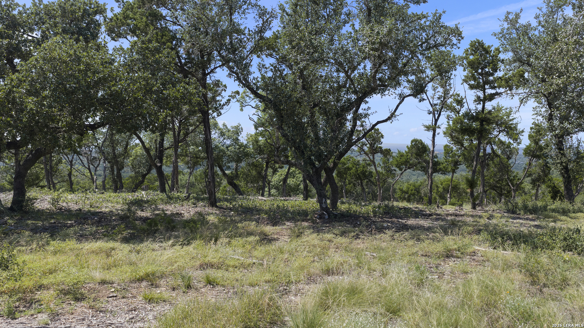 Land in Spring Branch 5