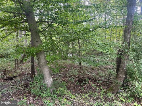 TBD Van Buren Rd, MAURERTOWN, VA, 22644 | Card Image