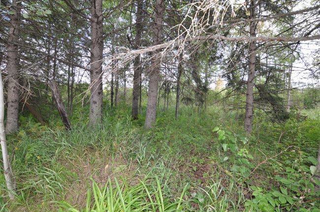 40110 Us 71, House other with 3 bedrooms, 3 bathrooms and null parking in Laporte MN | Image 36