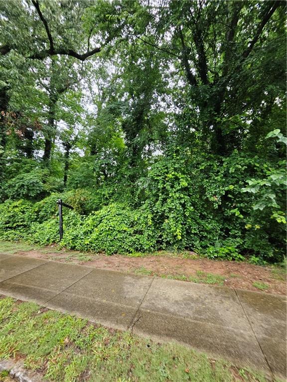 Land in Decatur 3