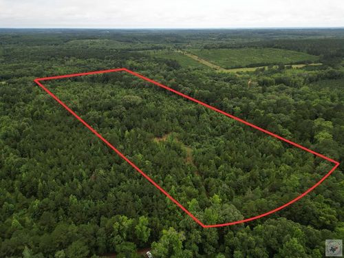 TBD CR 2341 County Road 2341, Douglassville, TX, 75560 | Card Image