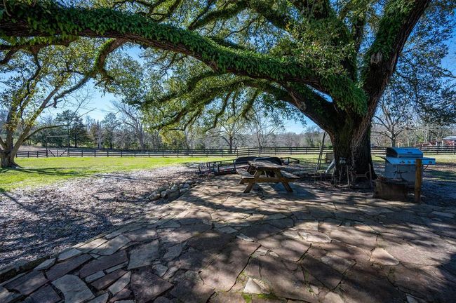 228 Camden Rd, Home with 3 bedrooms, 3 bathrooms and 1 parking in Chester TX | Image 9