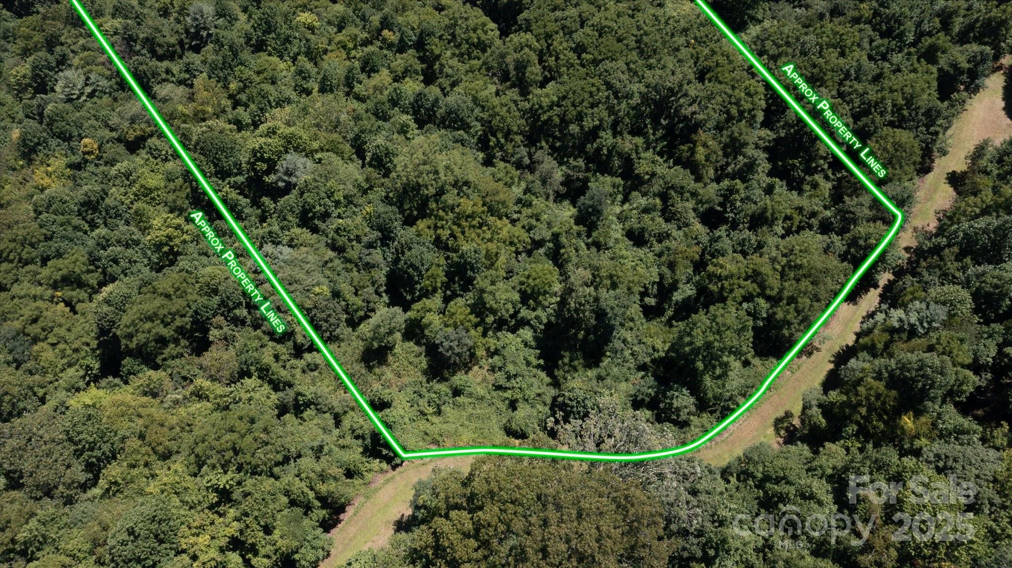 Land in Waynesville 4