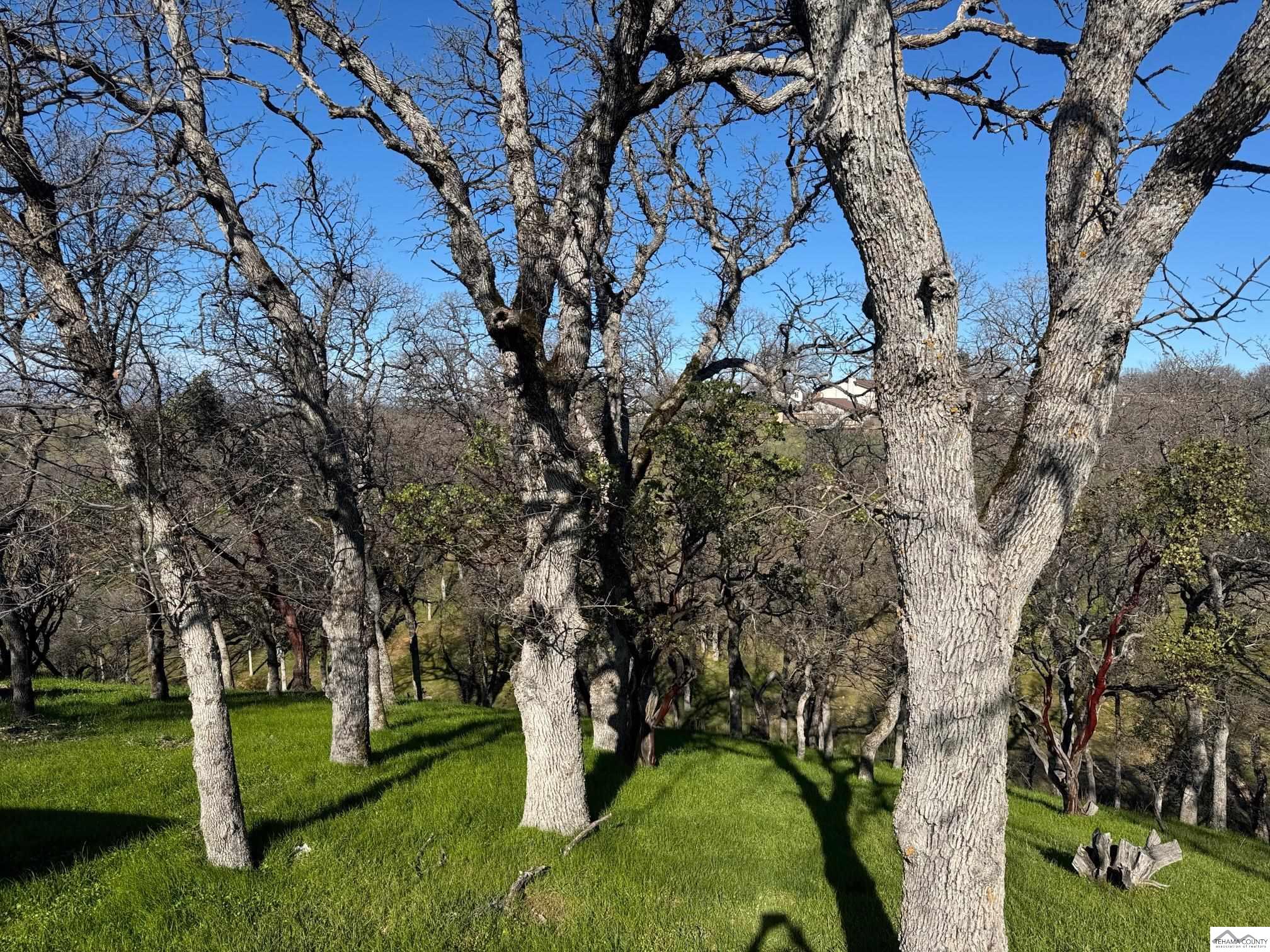 Land in Cottonwood 2