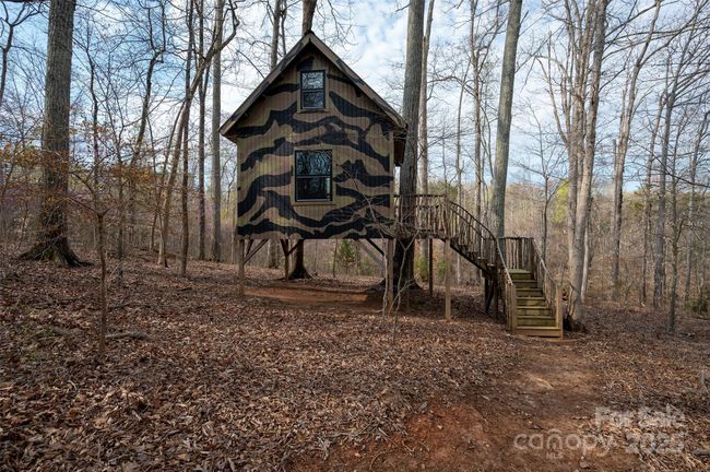 Tree House | Image 47