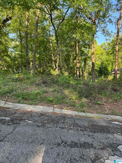 lot-5113 Biddle Cir, MOUNT OLIVE, AL, 35117-3232 | Card Image