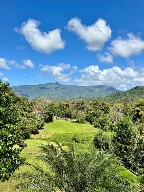 solar-1-Bo Collores Carr#936 Km 1.0, LAS PIEDRAS, PR, 00771 | Card Image