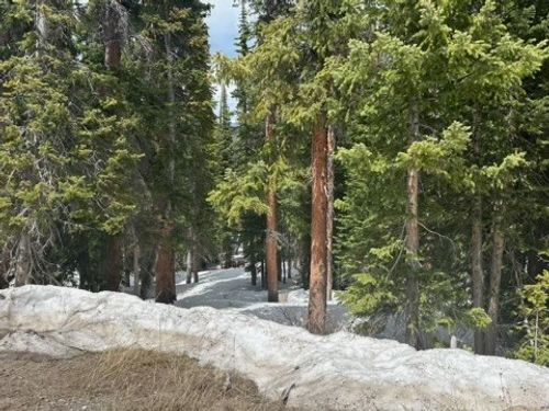 584 Camron Ln, BRECKENRIDGE, CO, 80424-5299 | Card Image