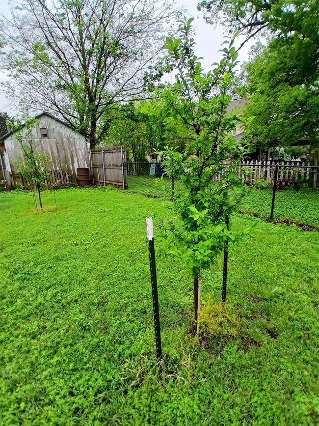 300 Nw 2 Nd St, House other with 2 bedrooms, 2 bathrooms and null parking in Hubbard TX | Image 29