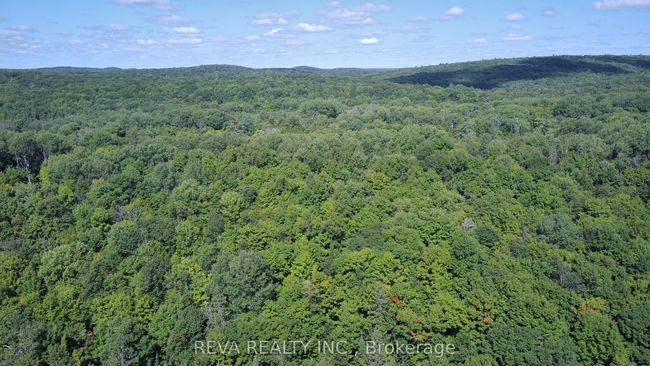 1173 Fortesque Lake Rd, Home with 0 bedrooms, 0 bathrooms and 5 parking in Gooderham ON | Image 13