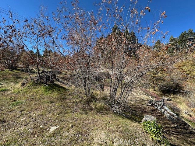 Land in Running Springs 4