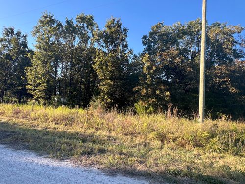 40 Buggy Dr, Fair Grove, MO, 65648-7617 | Card Image