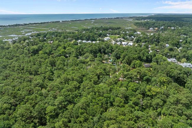 284 Player Rd, Home with 0 bedrooms, 0 bathrooms and null parking in Pawleys Island SC | Image 10