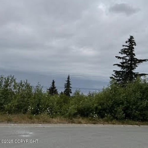 18936 Scenic Hill Cir, Anchorage, AK, 99516-6217 | Card Image