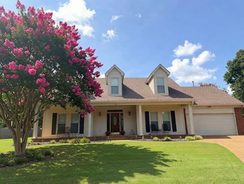 730 Metatero Cv, Collierville, TN, 38017-7104 | Card Image