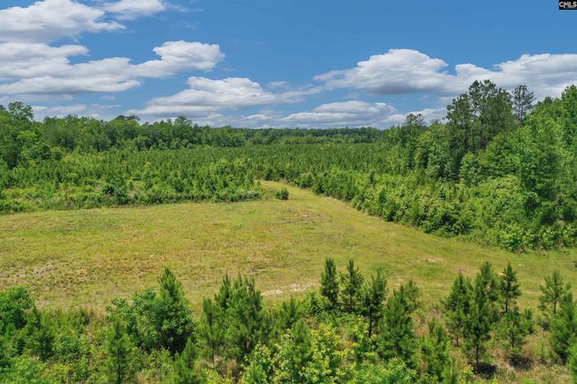 0000 N Brewington Rd, Home with 0 bedrooms, 0 bathrooms and null parking in Manning SC | Image 28