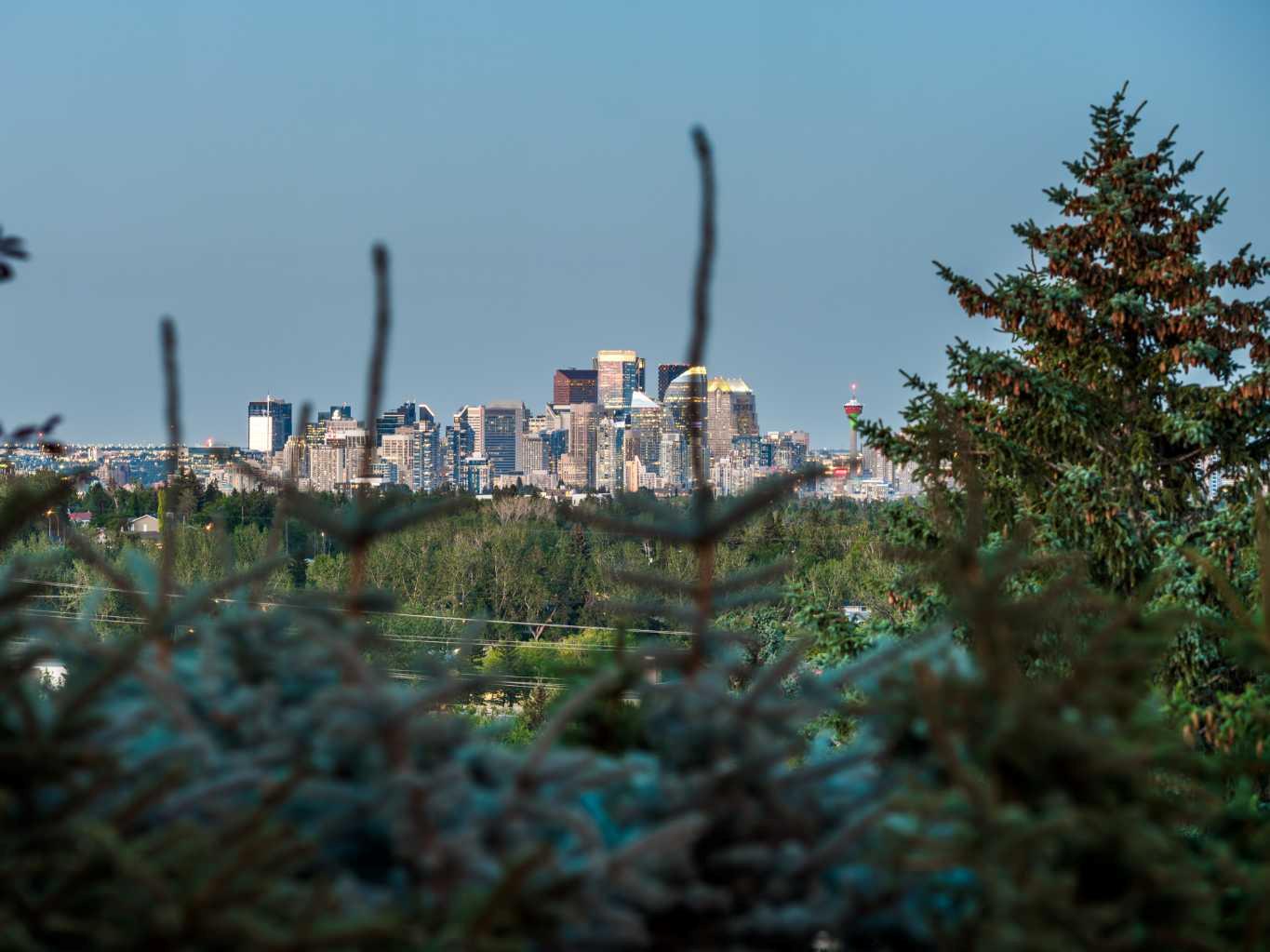 Residential in Calgary 4