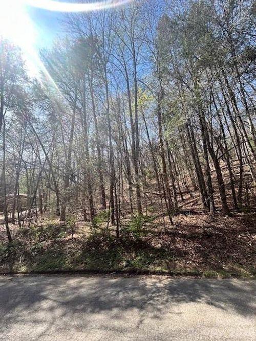 51-Lot 51 Fairway Dr, Lake Lure, NC, 28746 | Card Image
