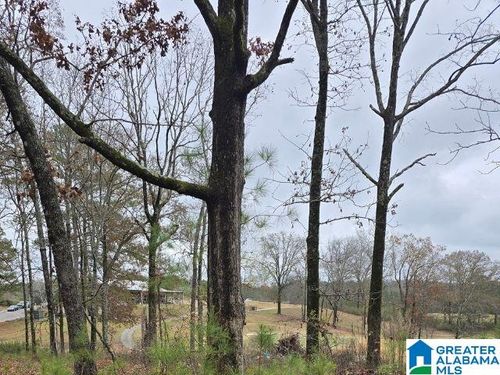 0-0 Capricorn Dr, ALPINE, AL, 35014 | Card Image