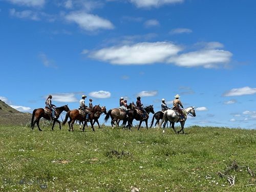 60 5 Mile Creek Rd, Edgar, MT, 59026-9516 | Card Image