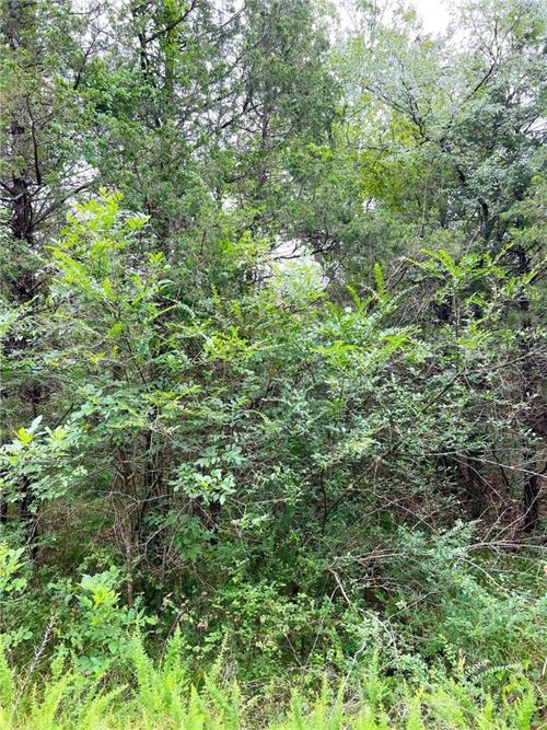 TBD Cedar Ln, Lead Hill, AR, 72644 | Card Image