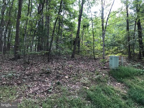 0 Mallard Dr, MOUNT JACKSON, VA, 22842 | Card Image