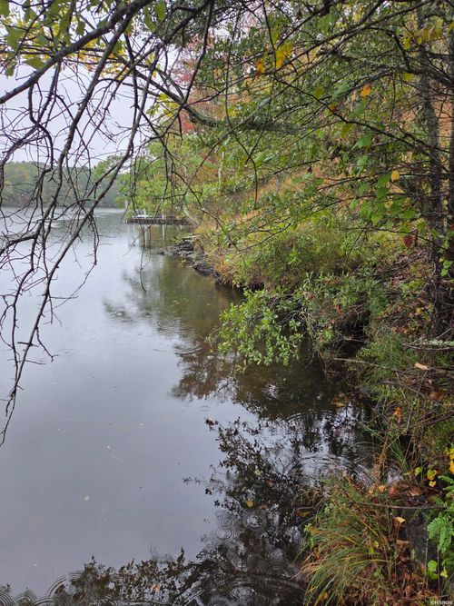 1453 Saint Andrews Dr, Hot Springs National Park, AR, 71913 | Card Image