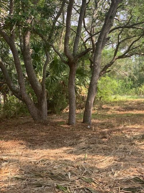 1707 Carrabelle Beach Dr, Carrabelle, FL, 32322 | Card Image