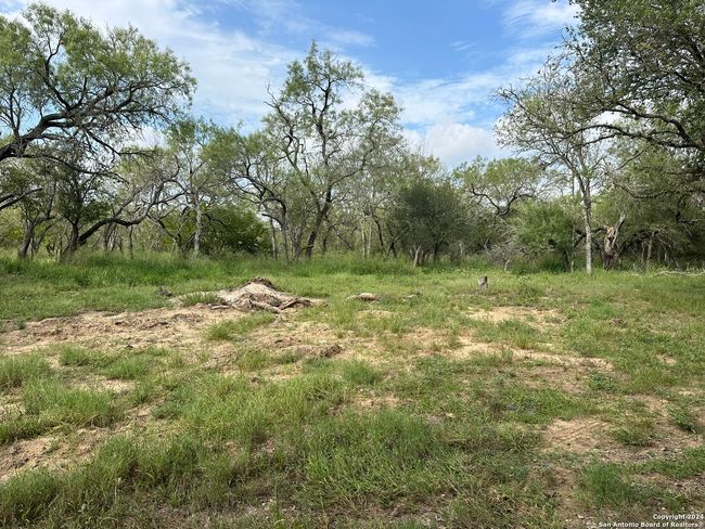 20588 S State Highway 16, Home with 0 bedrooms, 0 bathrooms and null parking in Atascosa TX | Image 6
