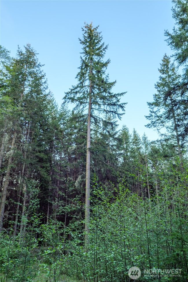 0 Discovery Ridge Rd, Home with 0 bedrooms, 0 bathrooms and null parking in Port Townsend WA | Image 25
