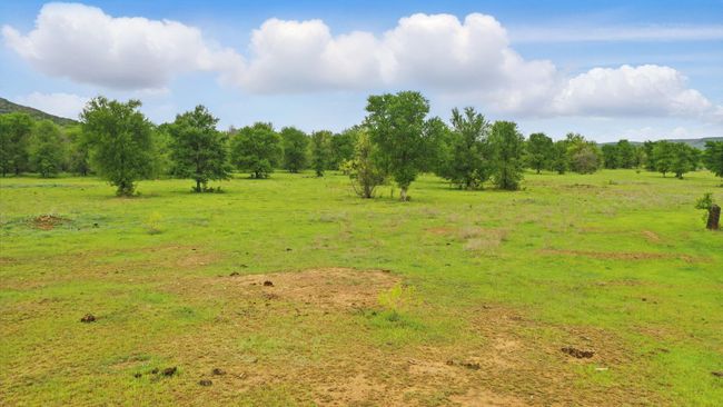 Pasture | Image 14