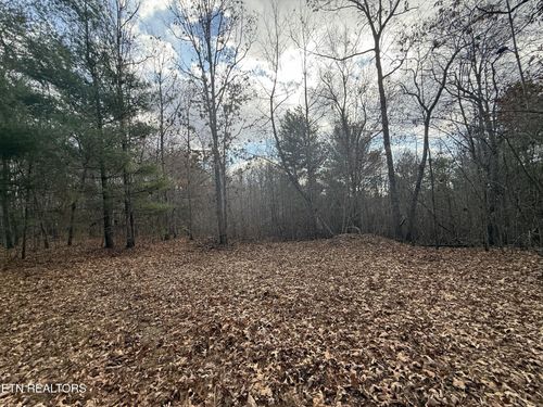0 10.77 Acres - Valerie Drive, Deer Lodge, TN, 37726 | Card Image