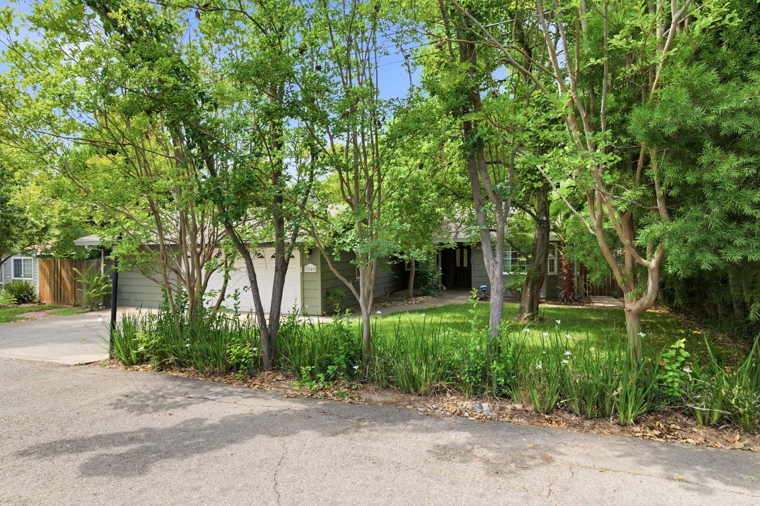 Residential in Citrus Heights 2