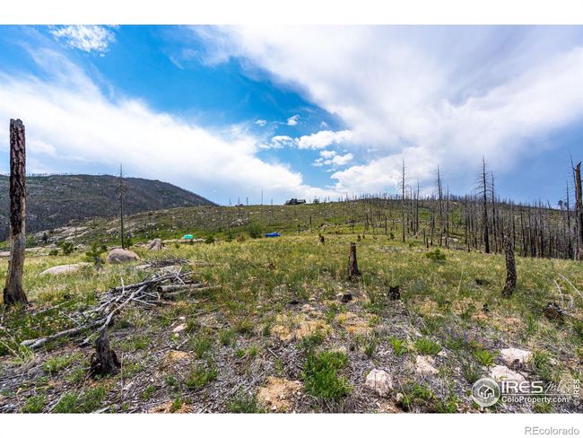 2384 Rist Creek Rd, Home with 0 bedrooms, 0 bathrooms and null parking in Bellvue CO | Image 23