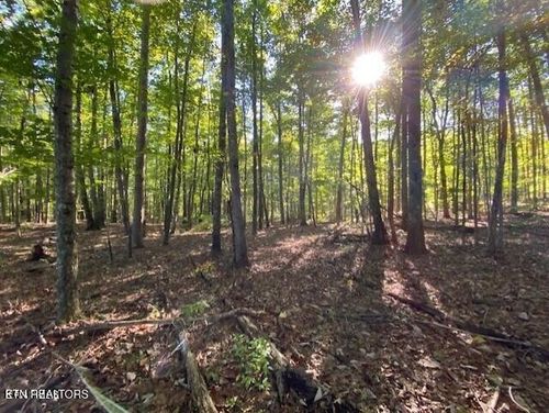 0 Partridge Trl, Grandview, TN, 37337 | Card Image