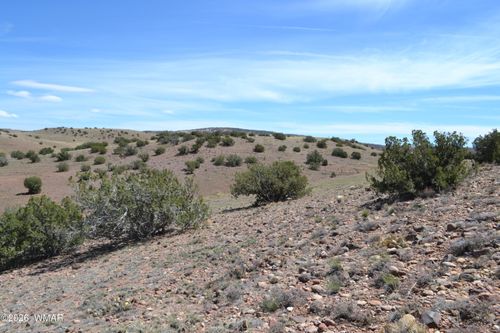 Lot 863 Concho Hwy, Concho, AZ, 85924 | Card Image